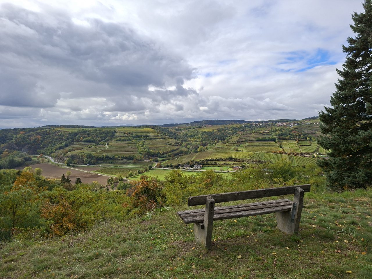 Naturpark Kamptal-Schönberg