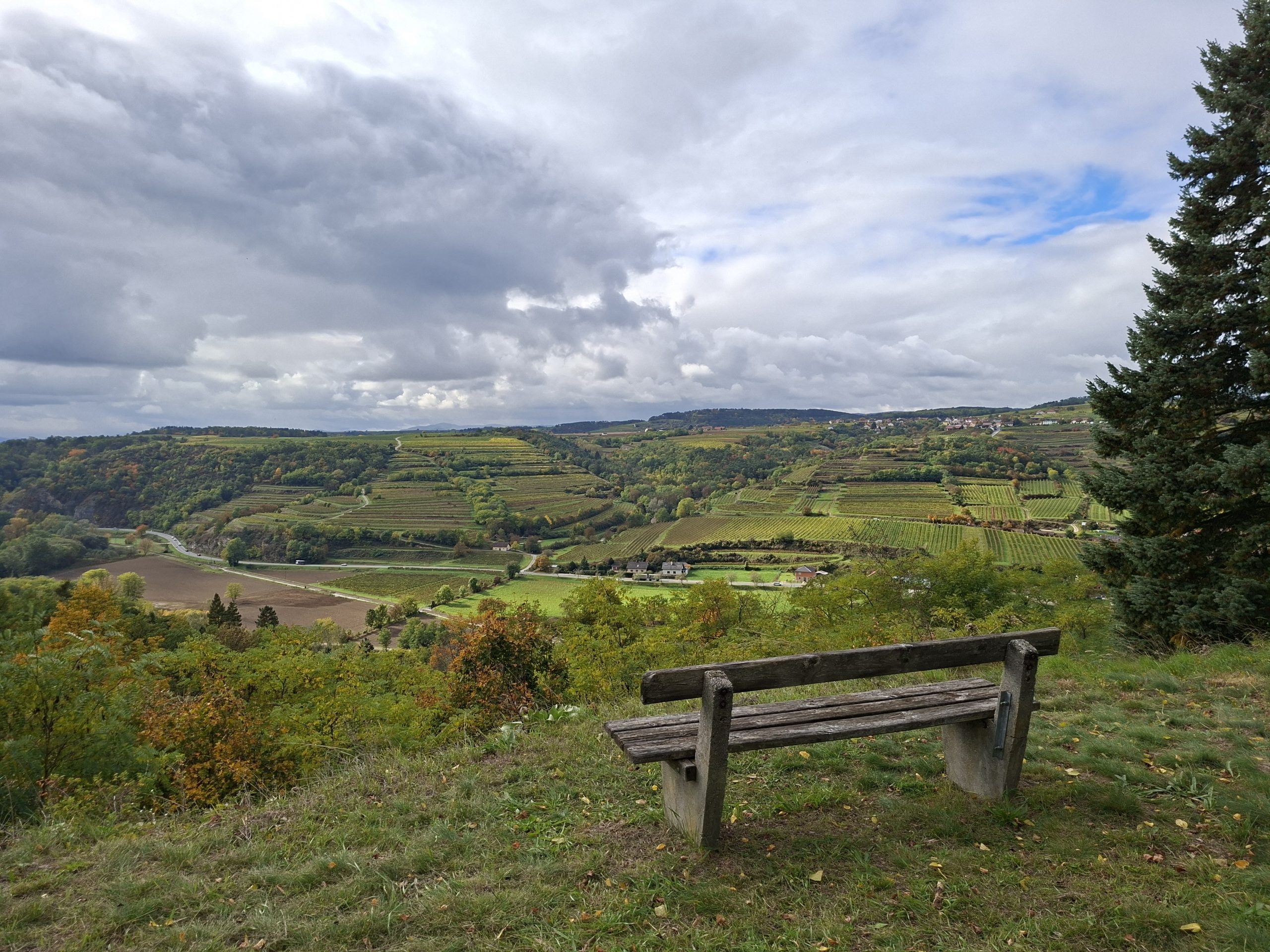 Naturpark Kamptal-Schönberg