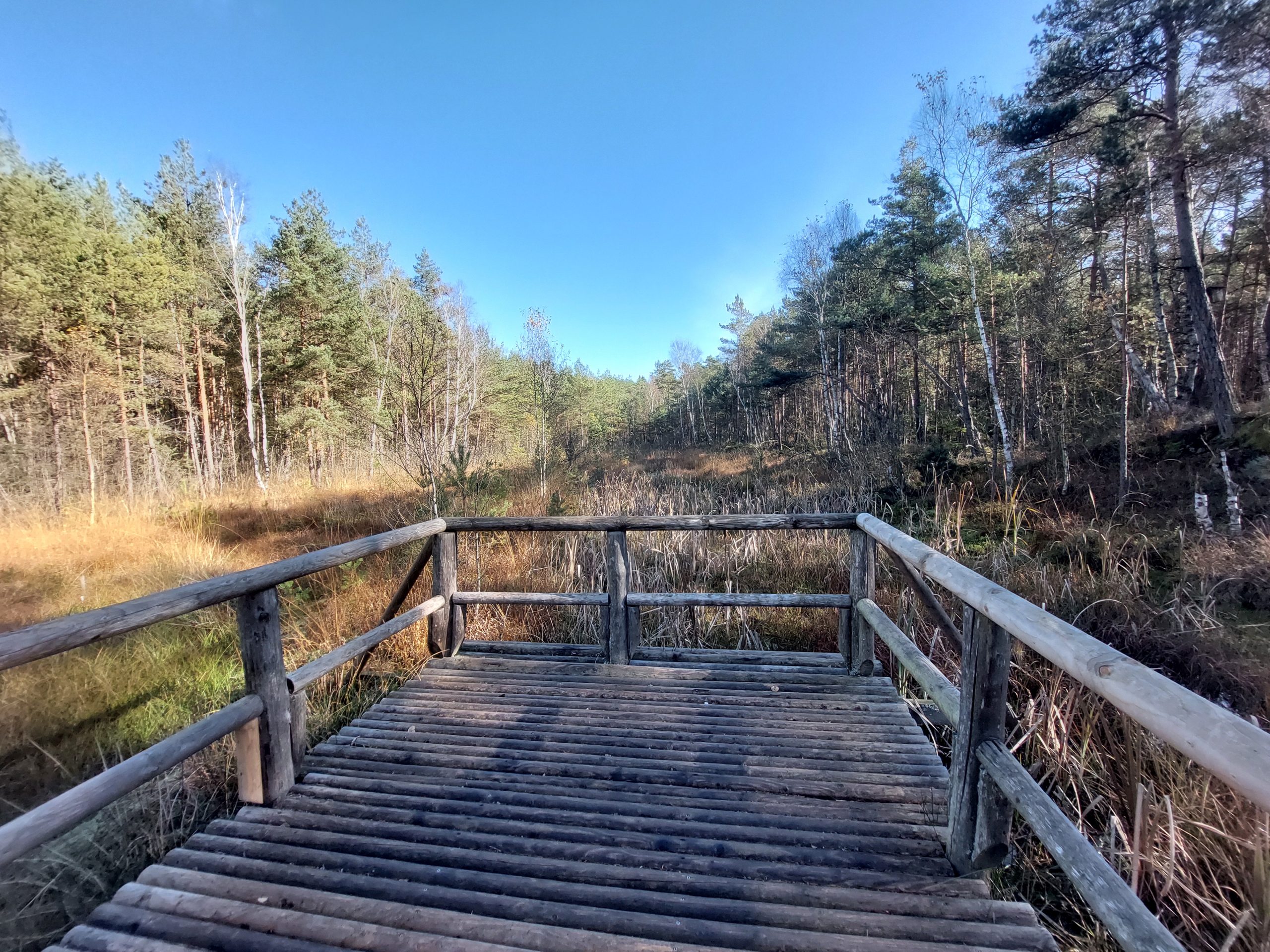 Naturpark Hochmoor Schrems